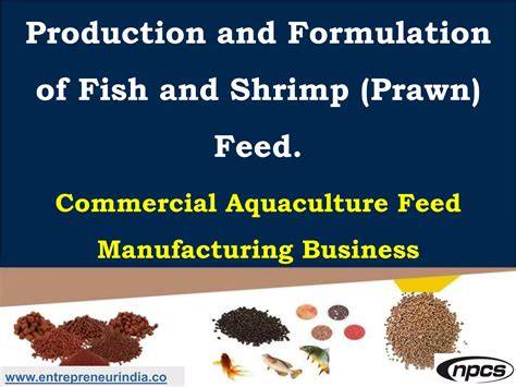 Nutritional Shrimp Feed Formulation to Produce … - raincitystudios.com