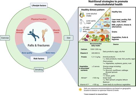 Nutritional strategies to optimise musculoskeletal health for fall and ... - muktibox.com