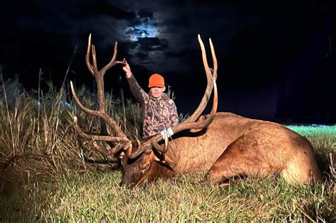 NW Minnesota boy, 13, shoots trophy bull elk on first hunt