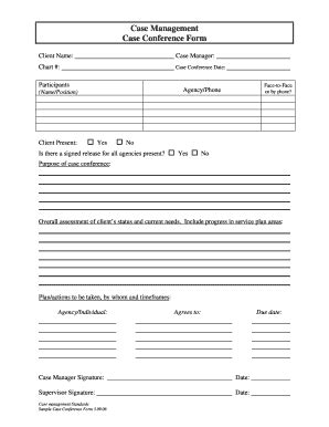 NY Case Management Case Conference Form 20062022 Fill and Sign