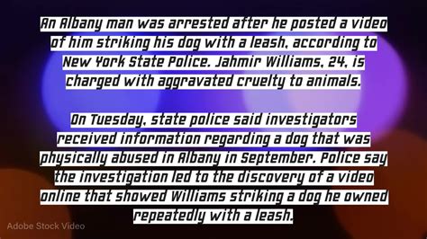 NYSP: Albany man posted video abusing his own dog