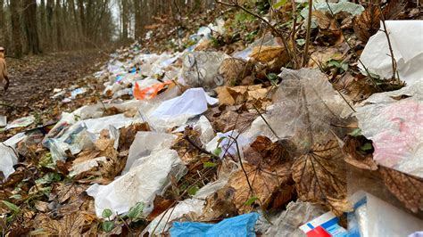 Nach Orkan: Wäldchen im Malchower Stadtteil Trostfeld vermüllt