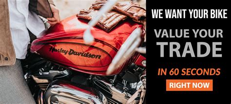 Pricing & Values. Add Options Info & Definitions. Suggested List Price (MSRP) $38,699. Base Price $23,200. Options N/A. Low Retail Value $23,200. Base Price $30,525. ... Insure your 2019 Harley-Davidson for just $75/year.* #1 insurer: 1 out of 3 insured riders choose Progressive. Savings: We offer plenty of discounts, and rates start at just .... 