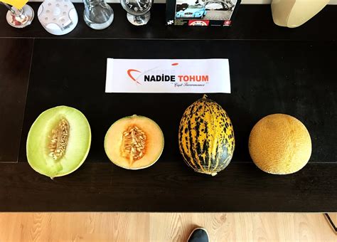 Nadide Tohum Fide Deposu.