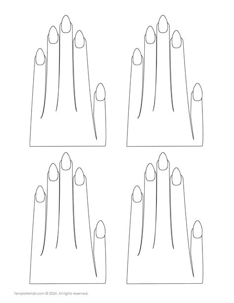 Nail Template Png