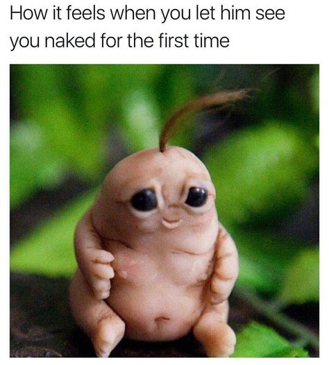 Naked memes. Things To Know About Naked memes. 