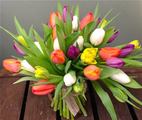 Naked tulips girls.  Colours will be based on best blooms available.  Support and e...