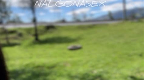 Nalgonasex_ Leaked [CLIP] 🍌 49 Photos