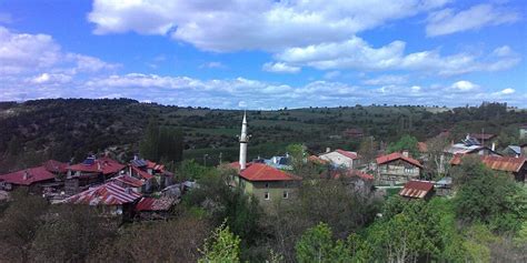 Nalligolcuk Halı ve Koltuk Yıkama