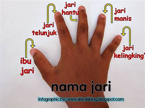 Nama Jari Tangan Dalam Bahasa Inggris Beserta Contoh …