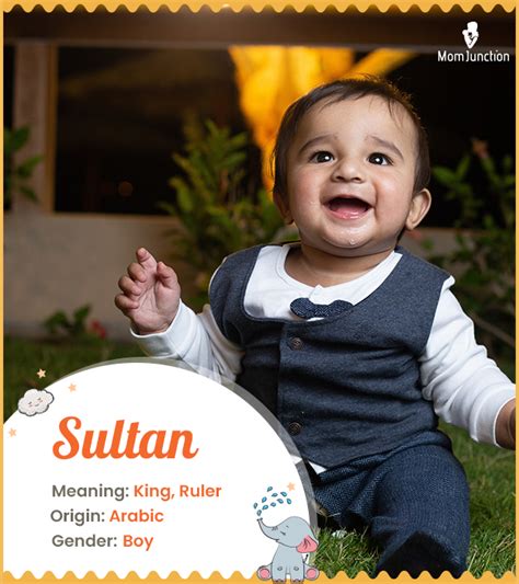 Name Sultan Meaning, Origin etc. - Boy Names - Baby …