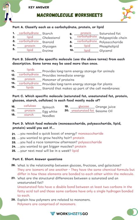 Name that macromolecule food worksheet answer key. Answer key for a student activity on th...