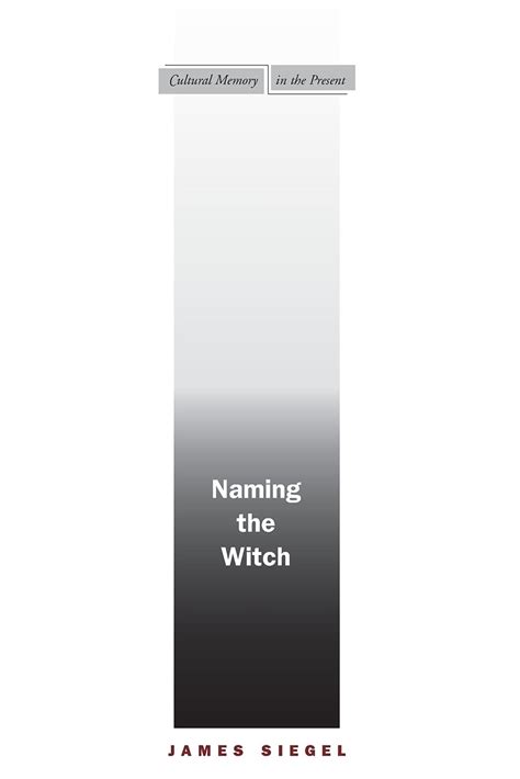 Full Download Naming The Witch By James T Siegel