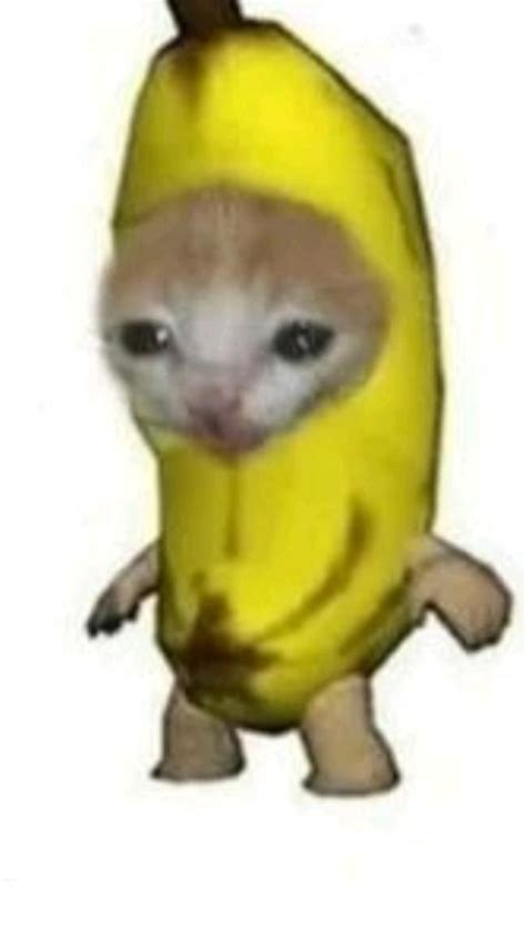 Nanacat Onlyfans Leak