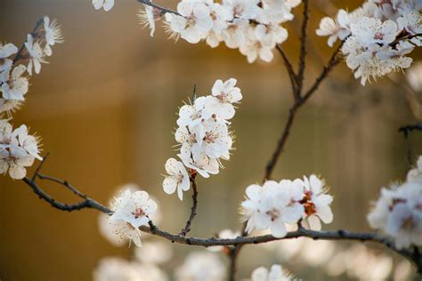 Nancymiami Leaks [PPV] 164 Pics