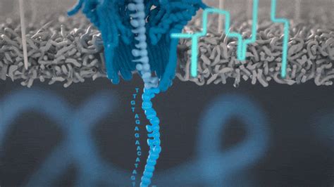 Nanopore variant calling.  It covers basecalling (Dorado), alignment (m...