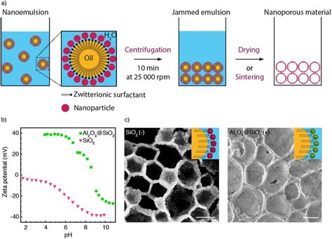 Nanoporous Structures Prepared By An Electrochemical Deposition Process Nanoporous Structures Prepared By An Electrochemical Deposition Process