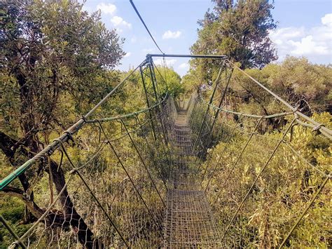 Nanyuki-Kenya Tour - Full day hike in Ngare Ndare forest reserve