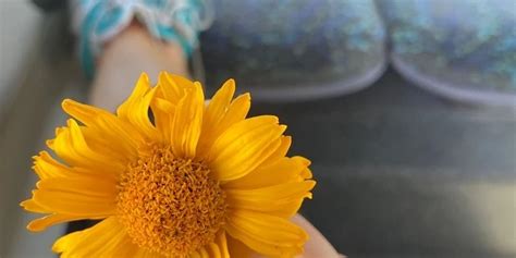 😈 Naomilee_X Onlyfans Leaked [SEX VIDEO] 67 Photos