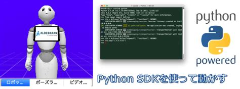 Naoqi python sdk.  Python SDK&para; Python SDK - Overview Python SDK - Installation G...
