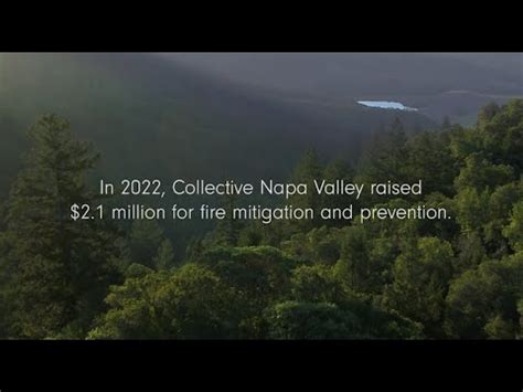 Napa Valley Vintners plans for $2.1 million fire resiliency …