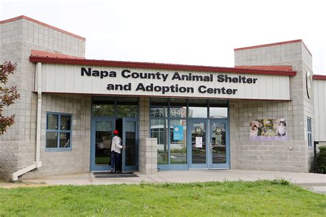 Napa animal shelter. Mar 13, 2024 · Napa County Animal Shelter 942 Hartle Court, Napa Monday through Saturday 11 a.m. - 4:45 p.m. Napa Humane Spay/Neuter Clinic ... you prefer to handle this transaction by mail please send the required certificates along with the correct fees to the Animal Shelter (call the shelter at (707) 253-4382 if you are unsure how much you need … 