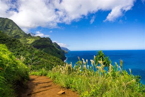 Napali coast trail. The 11-mile Kalalau Trail accounts for the highest number of rescues, with six incidents so far this year, compared to 24 last year. The scenic trail, located in the Napali Coast State Wilderness ... 