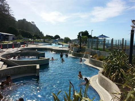 Napier Hotels with a Pool Facilities