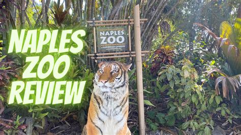 Naples Florida Zoo Hours
