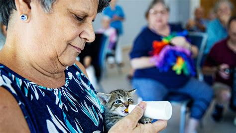 Naples Humane Society Program Helps Kids Improve Literacy by Reading to Cats