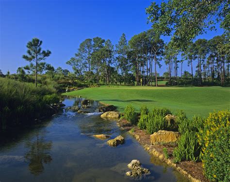 Naples grande golf club. Cedar Hammock Golf & Country Club is an 18-hole, par-72 championship course set in a serene, natural environment. The environmentally friendly course, located 12 miles southeast of the Naples Grande, was designed by legendary golf course architects Gordon G. Lewis and Jed Azinge. It effortlessly blends the natural environment of the surrounding ... 