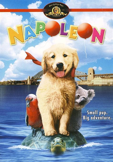 Napoleon australian movie. Things To Know About Napoleon australian movie. 