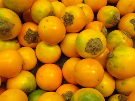 La naranjilla es un frutal no tradicional de gran importancia 