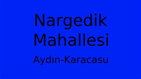 Nargedik Halı ve Koltuk Yıkama