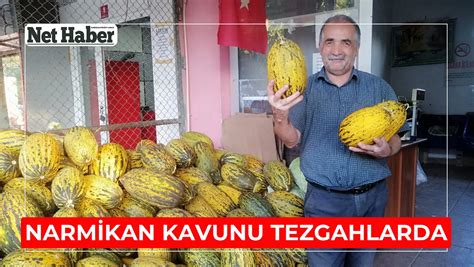 Narmikan Halı ve Koltuk Yıkama