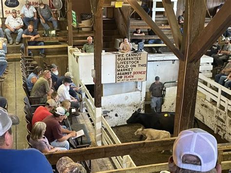 Narrows livestock market. We will be open this Saturday, Easter weekend. We unfortunately will not have anyone selling food but come on out, sale starts at 2 pm 