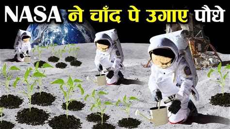 Nasa ने रचा इतिहास, उगाए चांद पर पौधे ! NASA Started Farming on the Moon