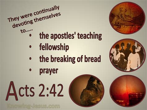 Acts 2:42-47 — The New King James Version (NKJV) And they continued steadfastly in the apostles' doctrine and fellowship, in the breaking of bread, and in prayers. 43 Then fear came upon every soul, and many wonders and signs were done through the apostles. 44 45 and sold their possessions and goods, and divided them among all, as anyone .... 