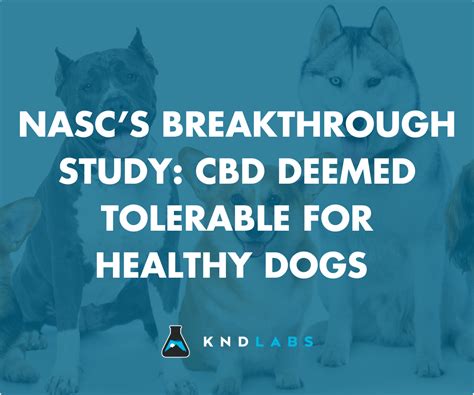 Nasc Certified Cbd For Dogs
