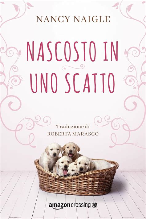 Nascosto In Uno Scatto Adams Grove Vol 2 By Nancy Naigle