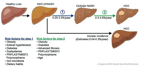 It is a type of NAFLD where a build-up of fat in the liver causes the liver to become inflamed and damaged. Non-alcoholic steatohepatitis (NASH) occurs when the liver becomes inflamed due to fat accumulation in the liver. It is associated with obesity, diabetes and all the elements of metabolic syndrome. If the liver becomes scarred it may lead .... 