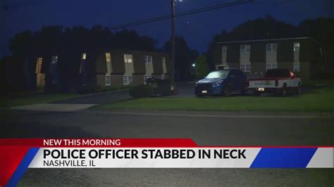 Nashville, Illinois officer stabbed in neck, suspect in custody