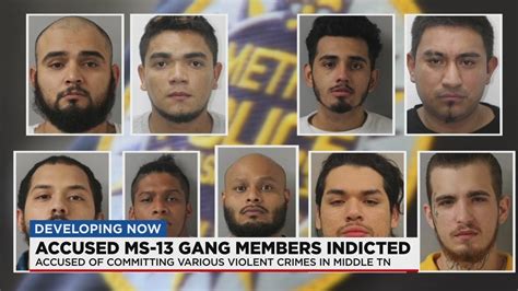 Nashville gangs. Jan 18, 2023 · Several groups are trying to reach kids before they fall into a world of crime. Gentlemen And Not Gangsters, also known as "G.A.N.G," is accepting applications for the new year. NASHVILLE, Tenn ... 