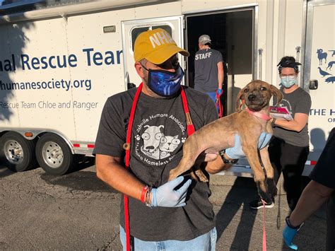 Nashville humane association. Starting Saturday afternoon, the Nashville Humane Association (NHA) and the Banfield Foundation are teaming up to host low-cost vaccine and microchip clinics on a monthly basis. 