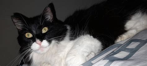 😈 Natalirojas02 Onlyfans Leak XxX