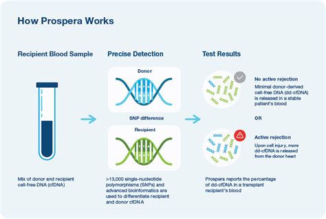SAN CARLOS, Calif., May 8, 2017 /PRNewswire/ — Natera (NASDAQ: NTRA), a leader in genetic testing, announced the launch of Vistara, a non-invasive prenatal test (NIPT) to screen single-gene disorders. Vistara is a complement to Natera's market-leading Panorama® non-invasive prenatal test (NIPT) and screens for new mutations in 30 genes that have a combined incidence rate of nearly 1 in ...