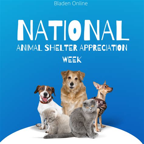 National Animal Shelter Appreciation Week