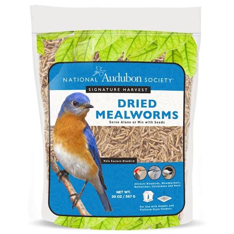 National Audubon Society 20-oz Mealworms Bird Food …