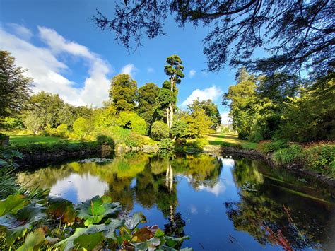 National Botanic Gardens Kilmacurragh Heritage Ireland