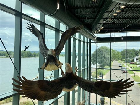 National Eagle Center